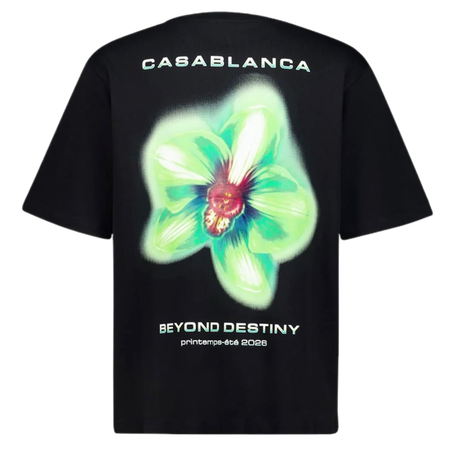 Camiseta Casablanca